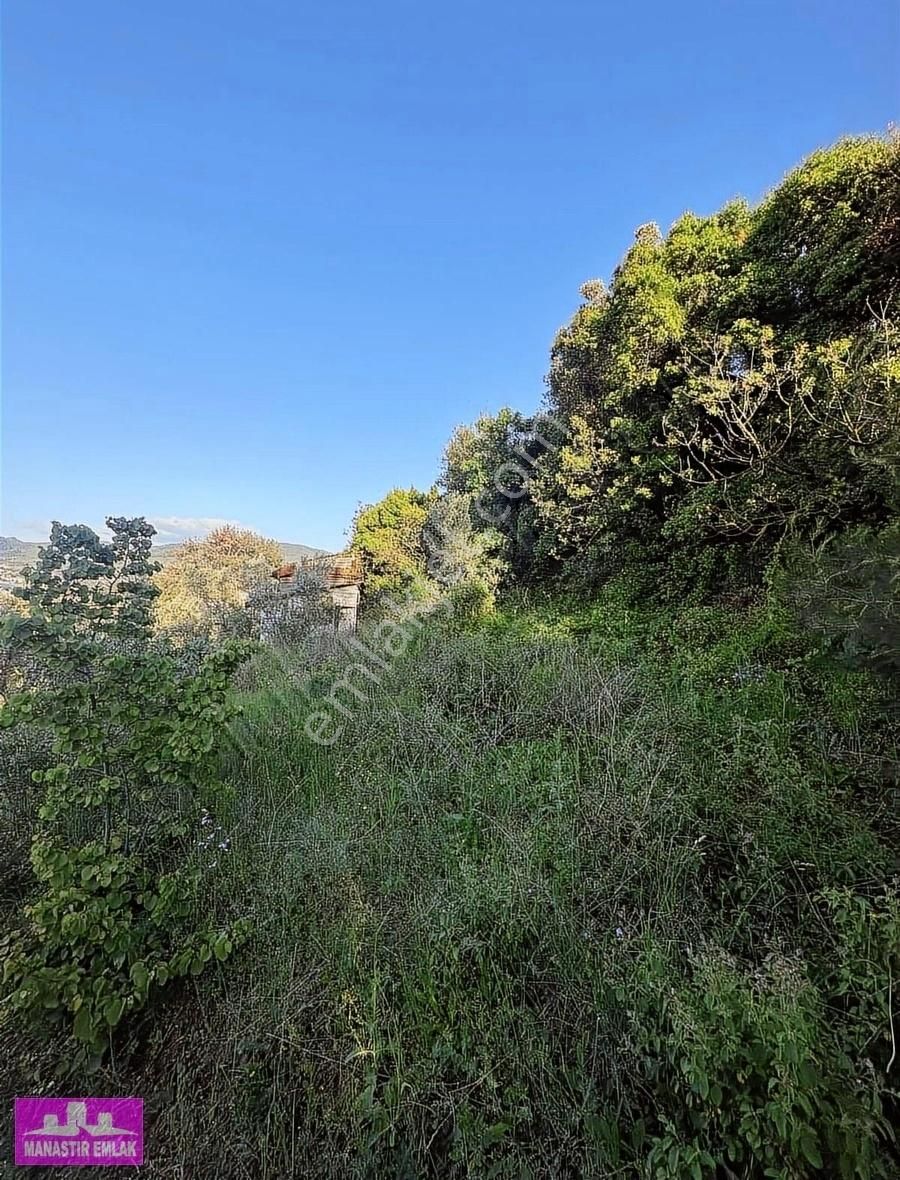 Manastır Emlak'tan Deniz Manz. İmarlı 1.266 M2 Arsa 13.250.000 - Görsel 4