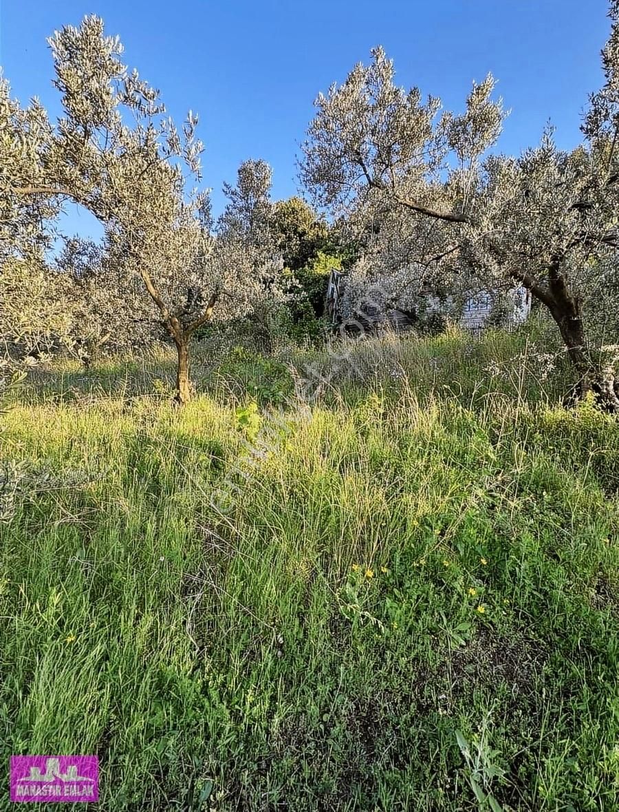 Manastır Emlak'tan Deniz Manz. İmarlı 1.266 M2 Arsa 13.250.000 - Görsel 3