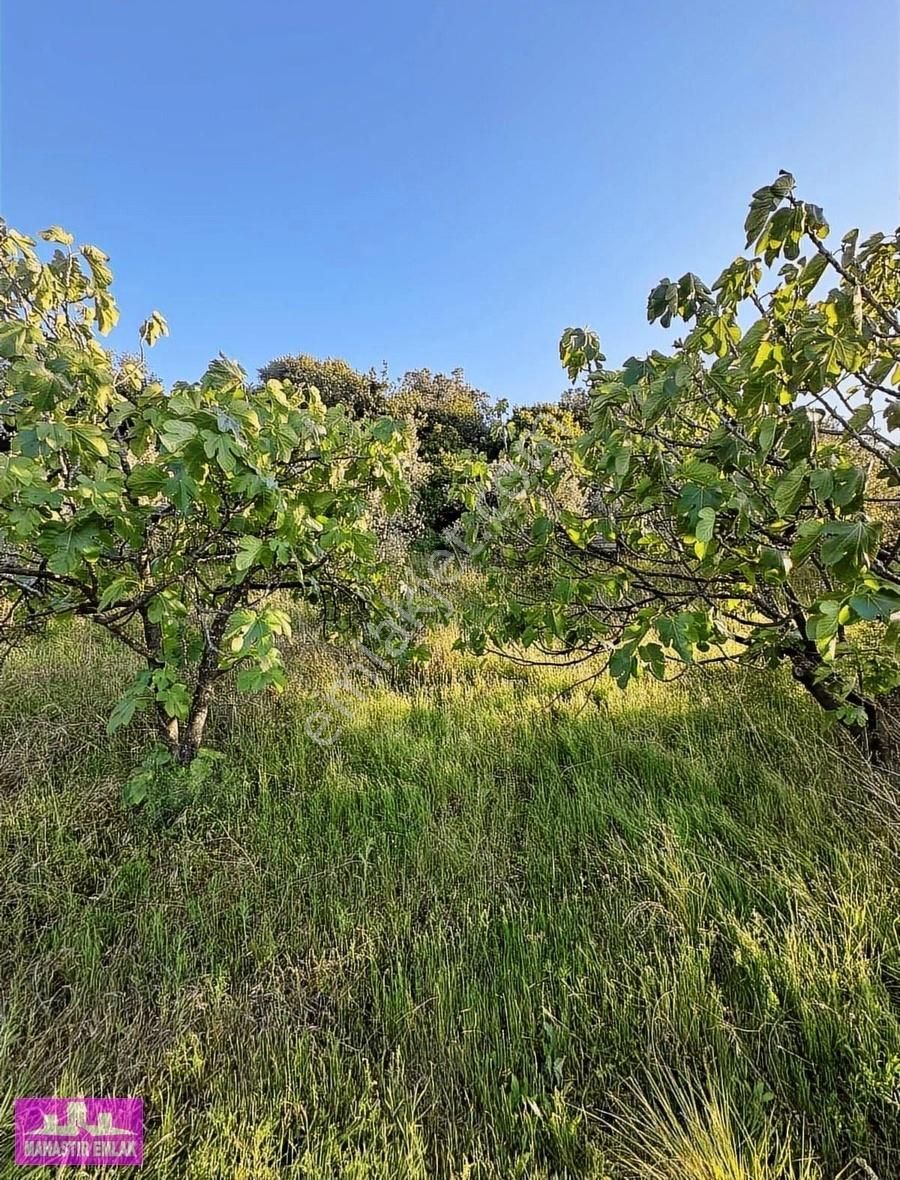Manastır Emlak'tan Deniz Manz. İmarlı 1.266 M2 Arsa 13.250.000 - Görsel 2