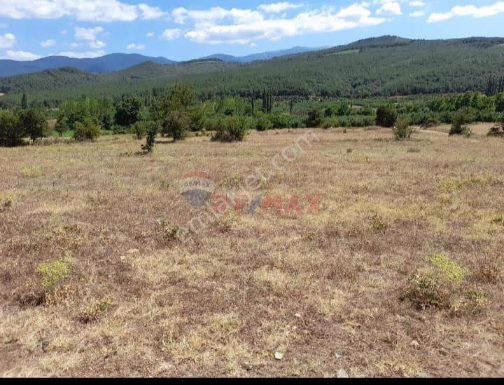 Bayramiç Tongurlu Köyü Satılık Tarla ÇANAKKALE\BAYRAMİÇ TONGURLU KÖYÜNDE SATILIK TARLA 