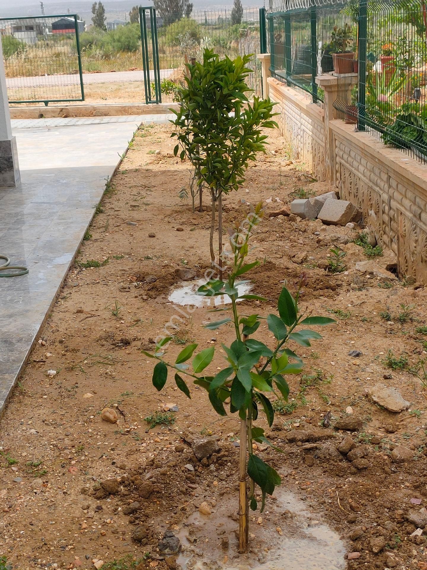 Sahibinden Kiralık Yeni Villa - Görsel 9