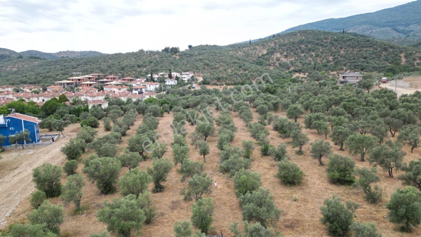 Edremit Güre Satılık Villa İmarlı  POYRAZ GAYRİMENKUL'den GÜRE OTELLER BÖLGESİNDE SATILIK VİLLALIK ARSA 