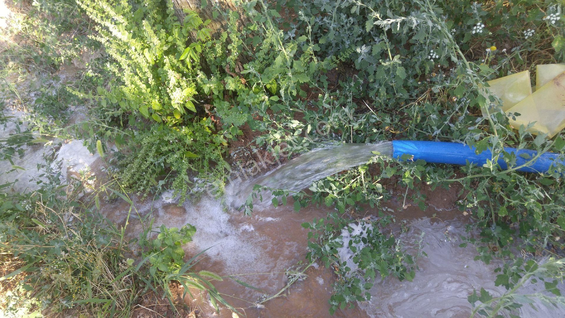 Nizip Uluyatır Satılık Bağ & Bahçe Uluyatır Da Sahibinden Satılık Sulu Zeytin Bahçesi