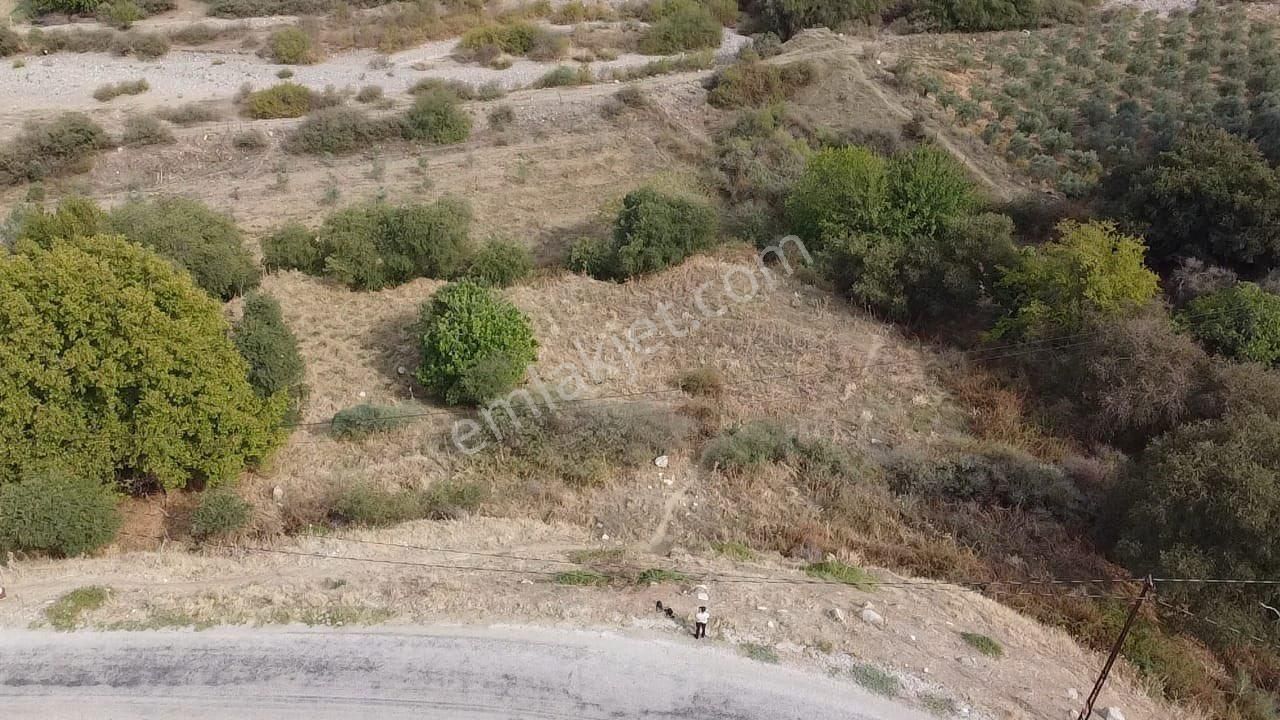 Salihli Yenipazar Satılık Tarla Yenipazar Mahallesinde Yol Kenarı Tarla