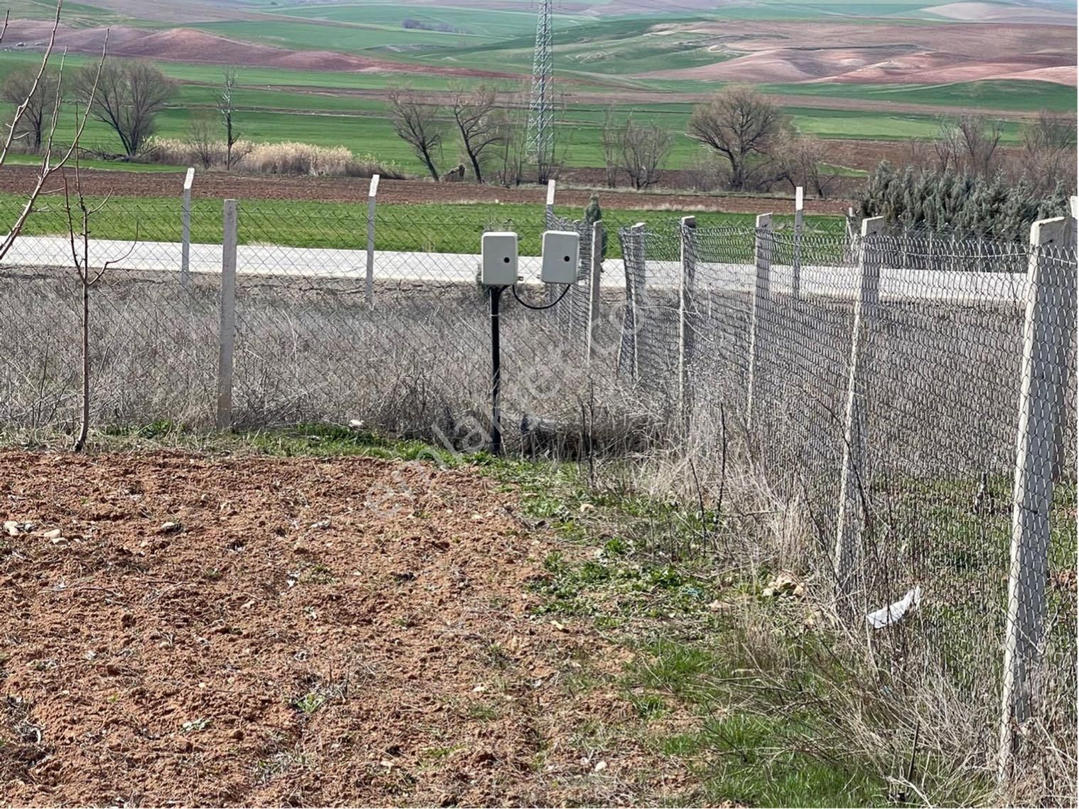 Polatlı Babayakup Satılık Bağ & Bahçe Polatlı Babayakup Mah Hobi Bahçesi