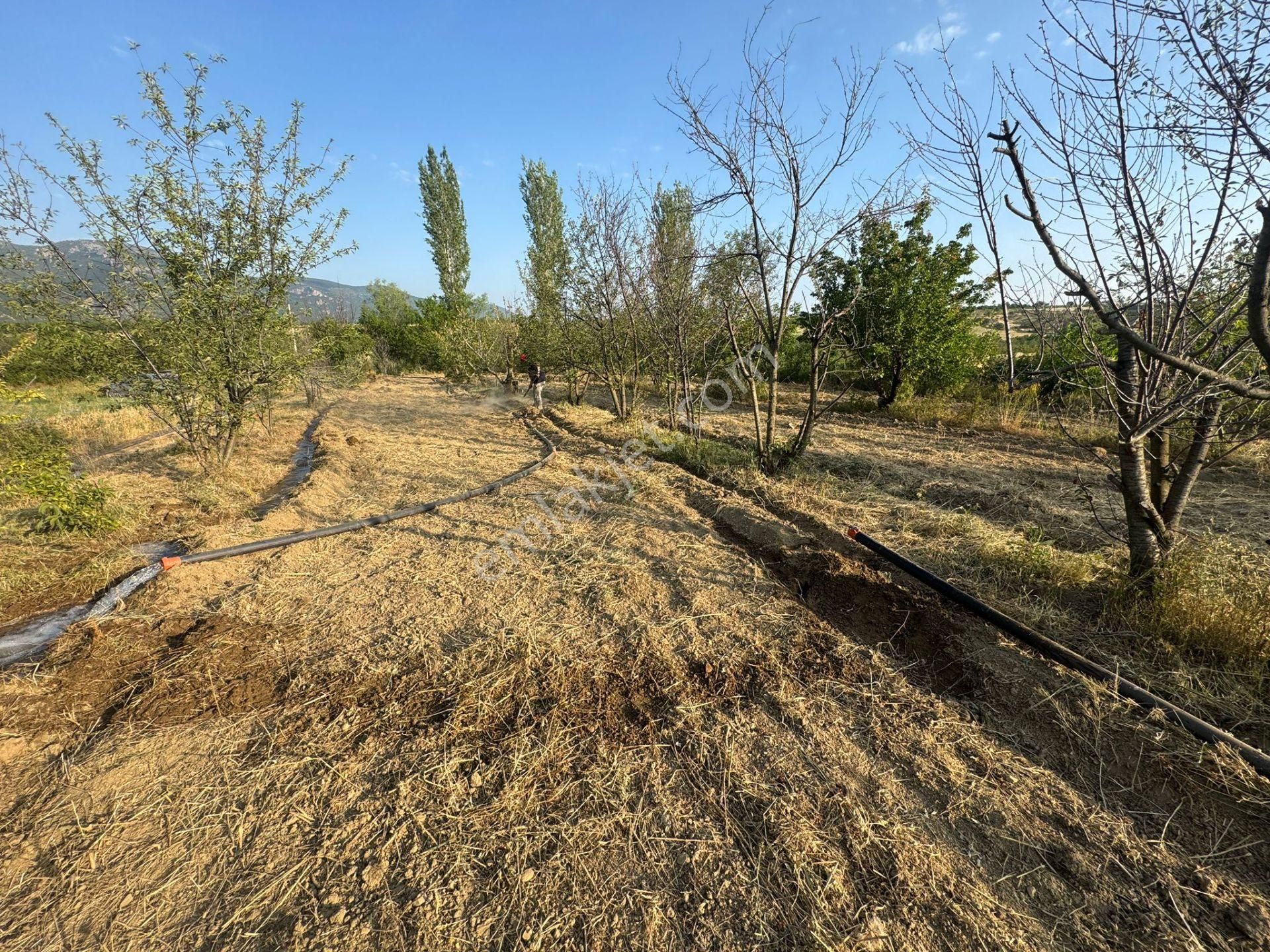 Engilli 1300 Mt Satılık Yatırımlık - Görsel 26