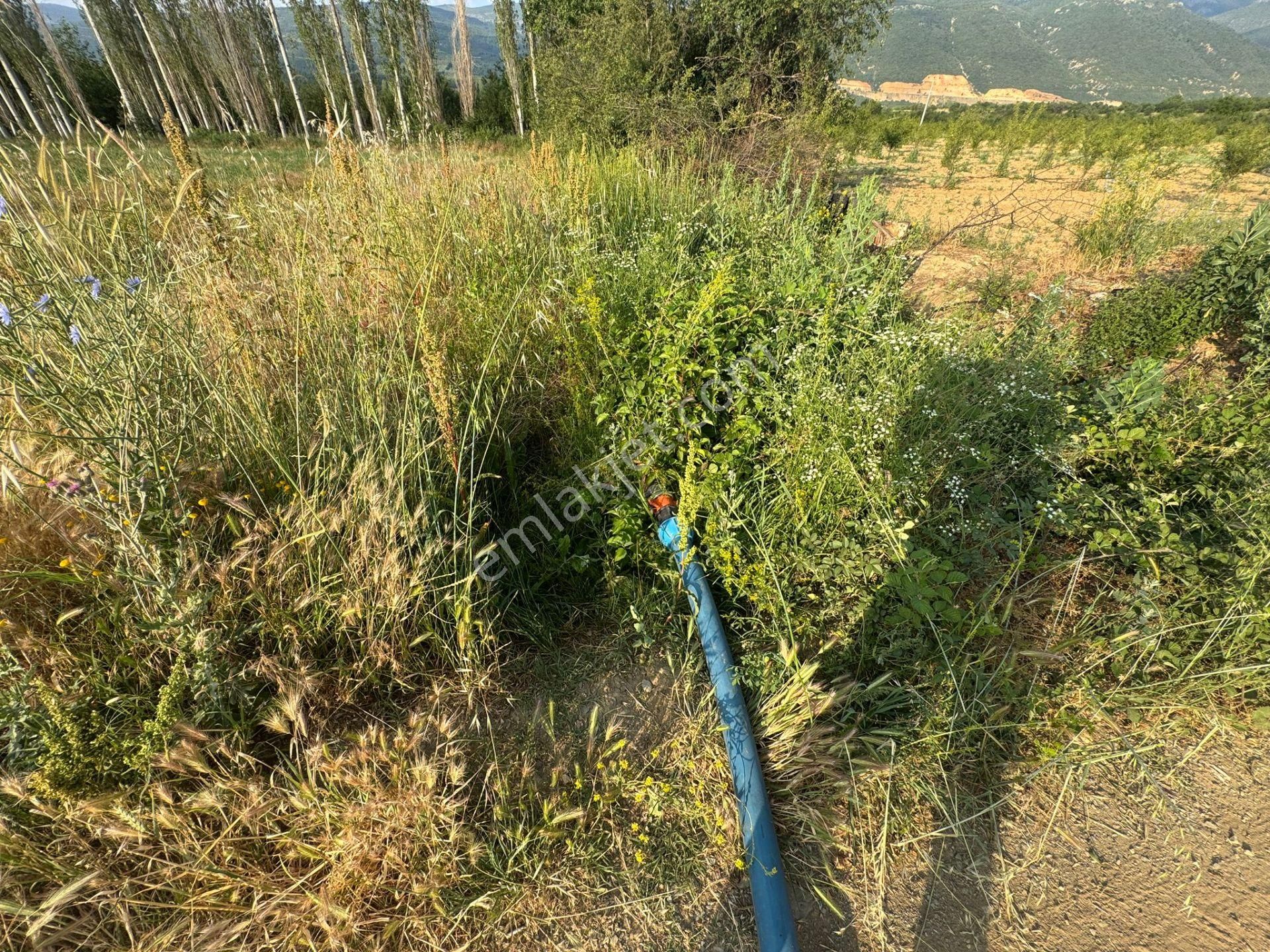 Engilli 1300 Mt Satılık Yatırımlık - Görsel 8