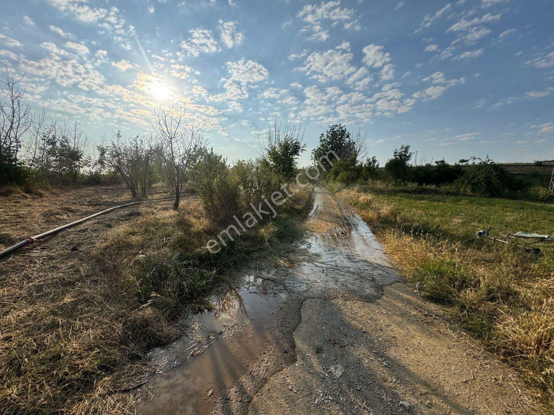 Engilli 1300 Mt Satılık Yatırımlık - Görsel 2