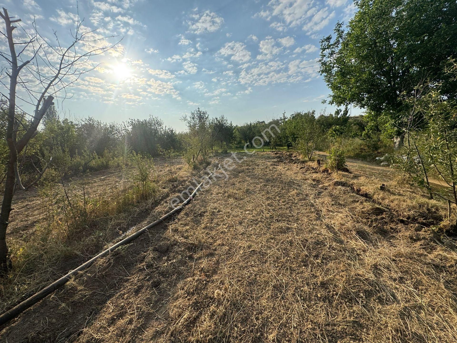 Engilli 1300 Mt Satılık Yatırımlık - Görsel 6