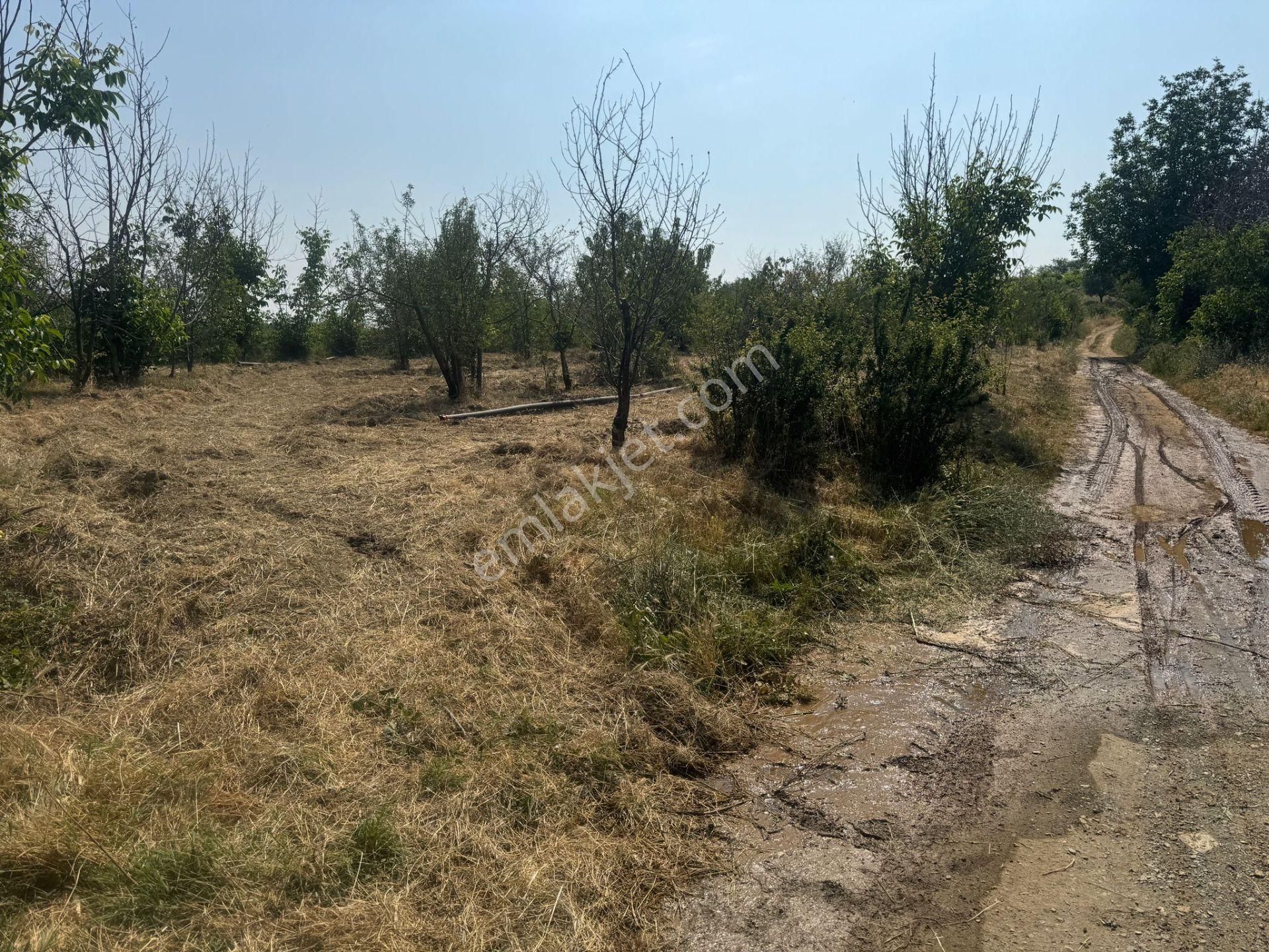 Engilli 1300 Mt Satılık Yatırımlık - Görsel 23