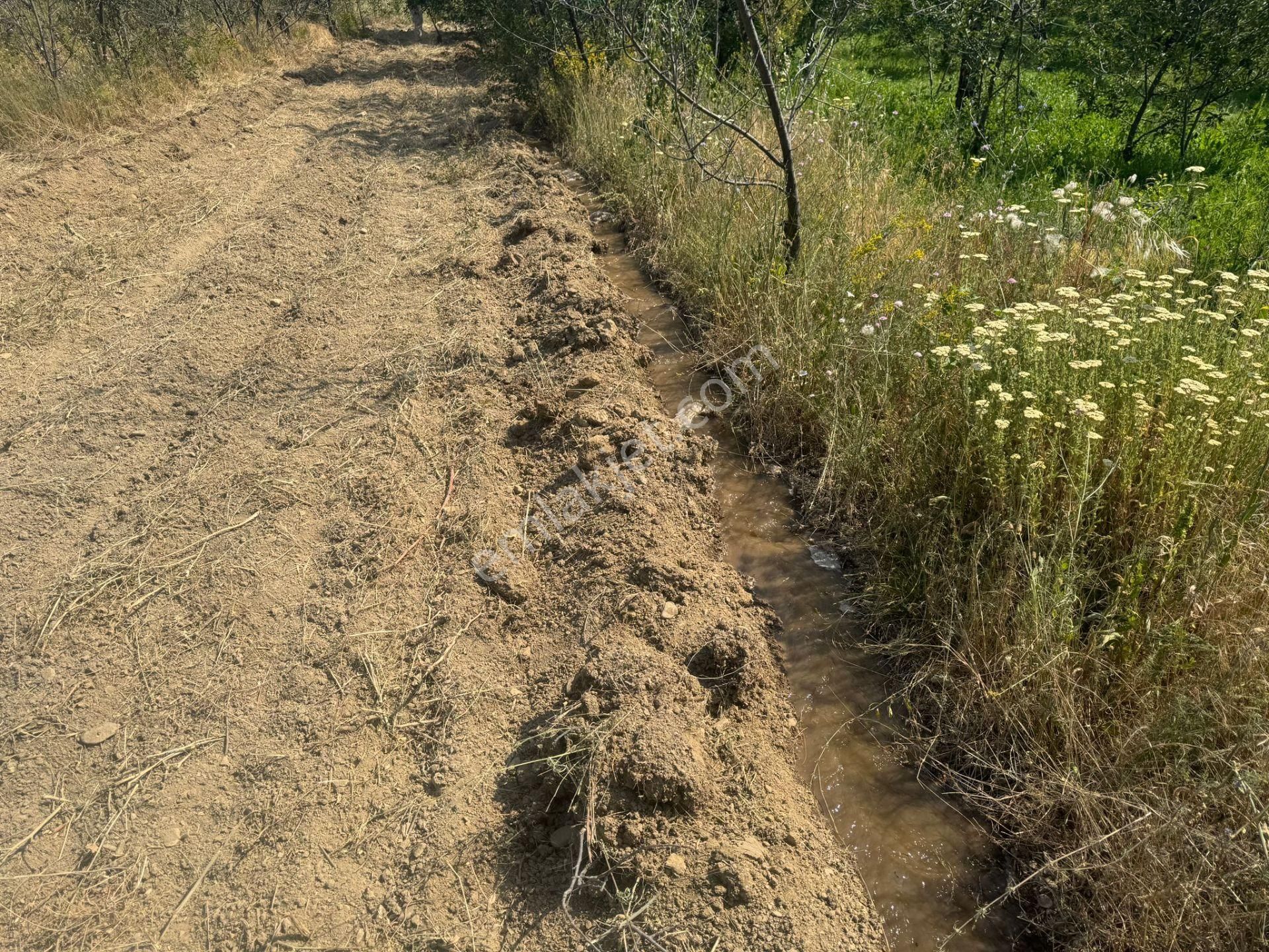 Engilli 1300 Mt Satılık Yatırımlık - Görsel 14