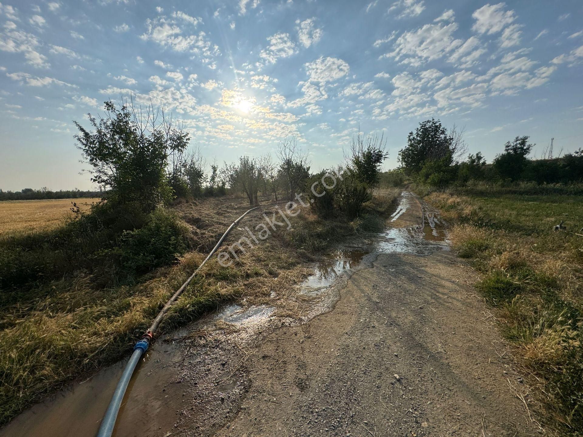 Engilli 1300 Mt Satılık Yatırımlık - Görsel 3