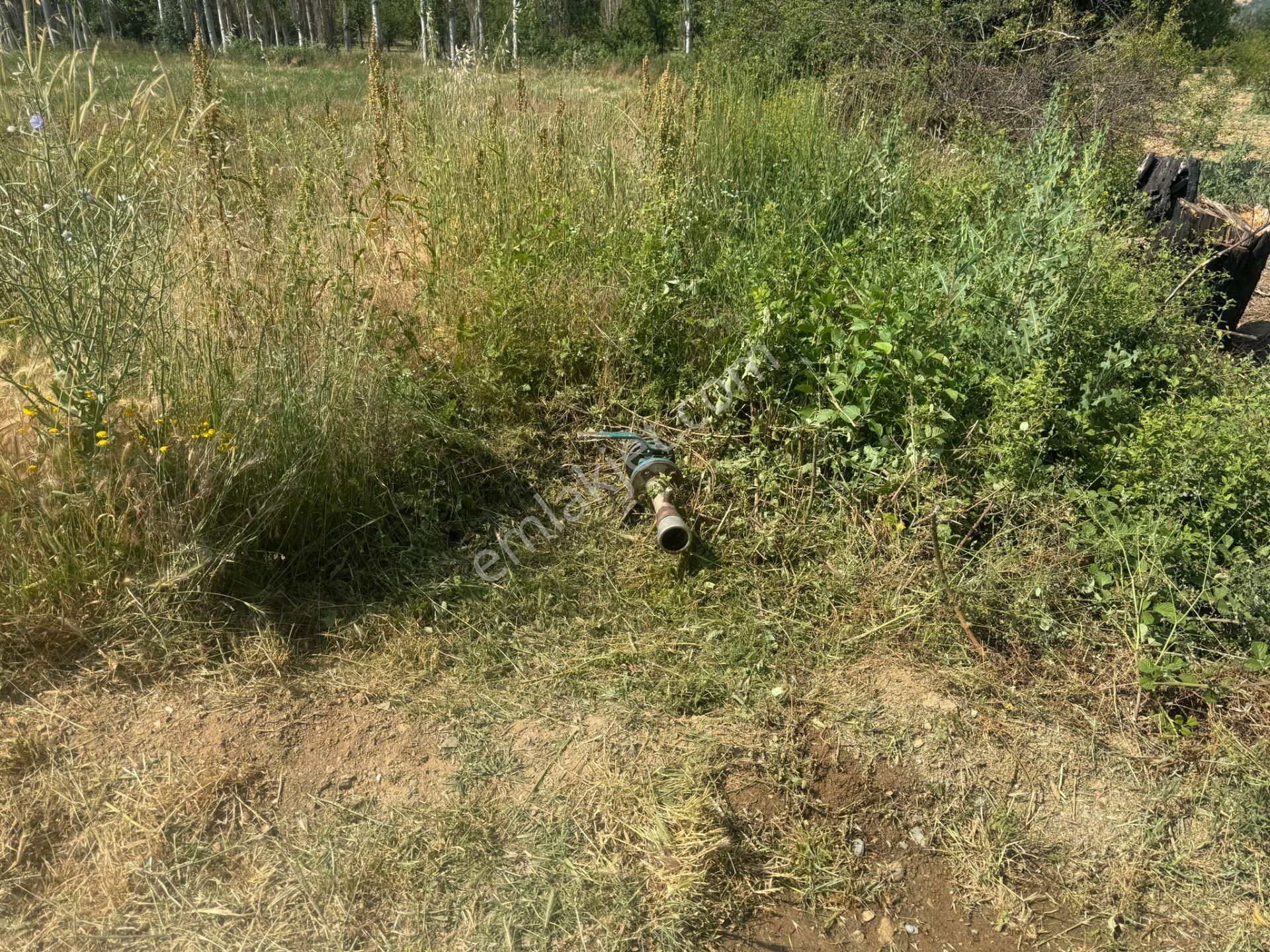 Engilli 1300 Mt Satılık Yatırımlık - Görsel 4