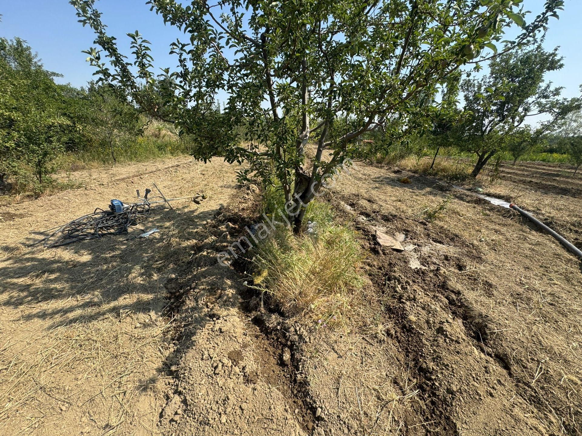 Engilli 1300 Mt Satılık Yatırımlık - Görsel 13