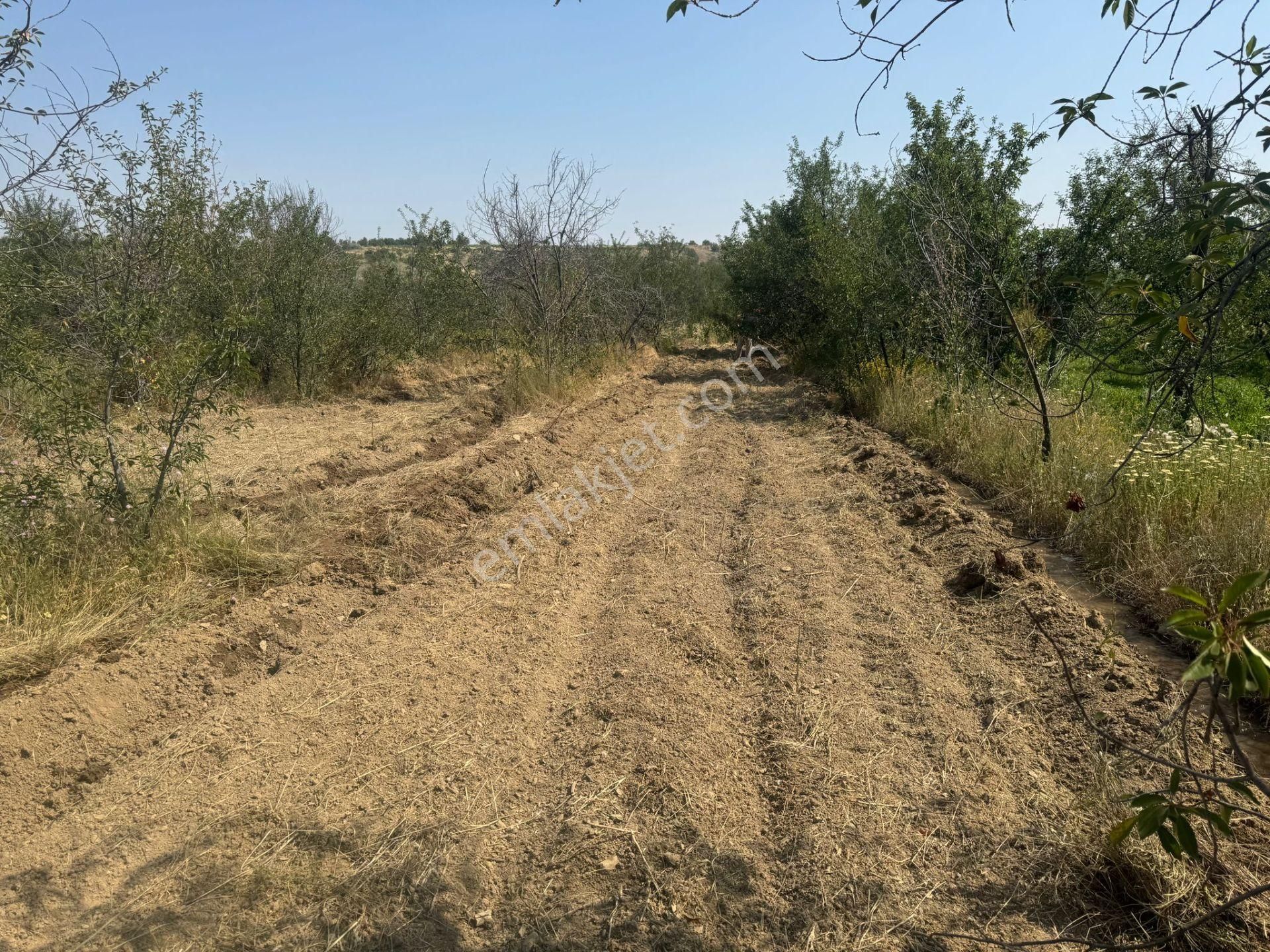 Engilli 1300 Mt Satılık Yatırımlık - Görsel 15