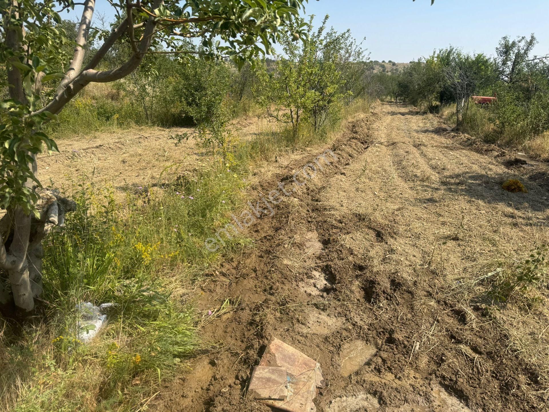 Engilli 1300 Mt Satılık Yatırımlık - Görsel 17