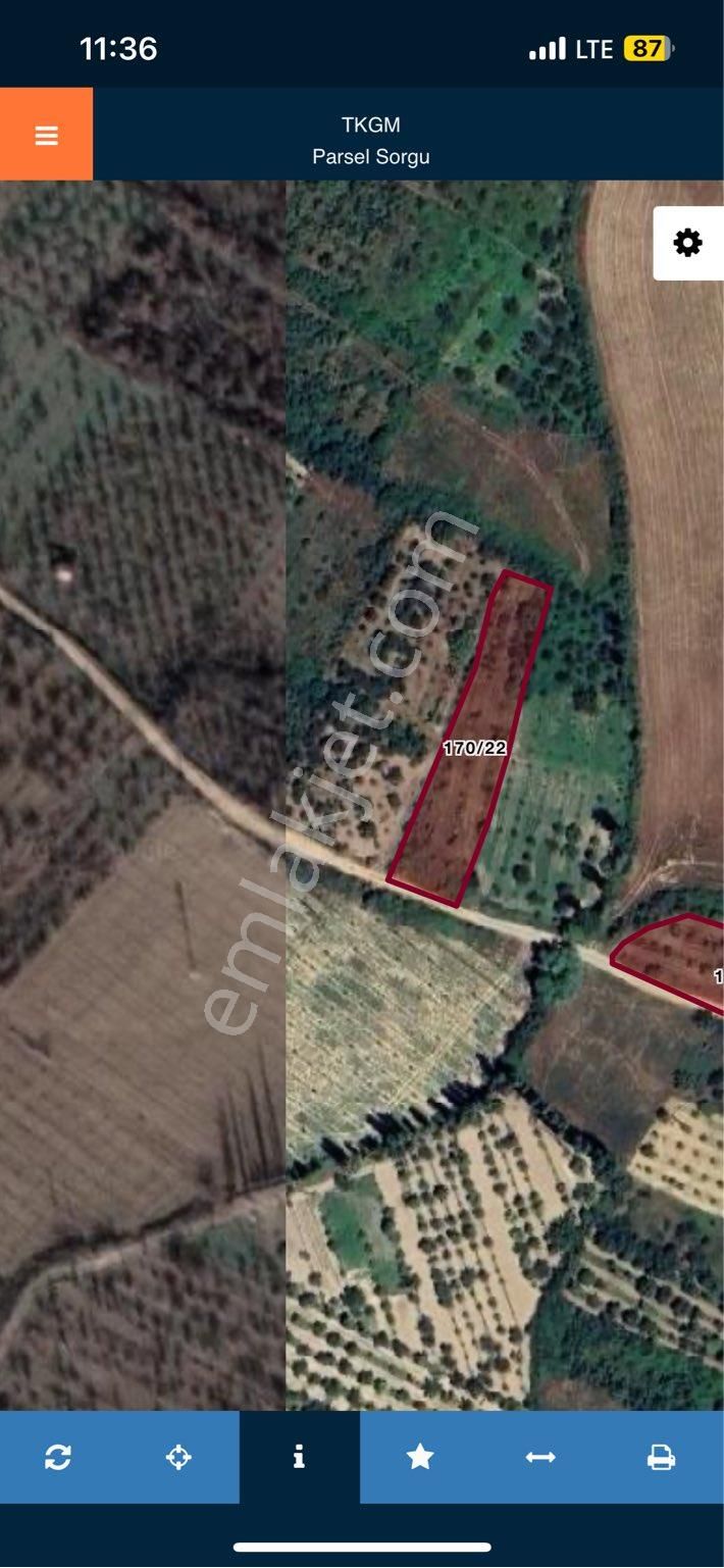 Engilli 1300 Mt Satılık Yatırımlık - Görsel 28