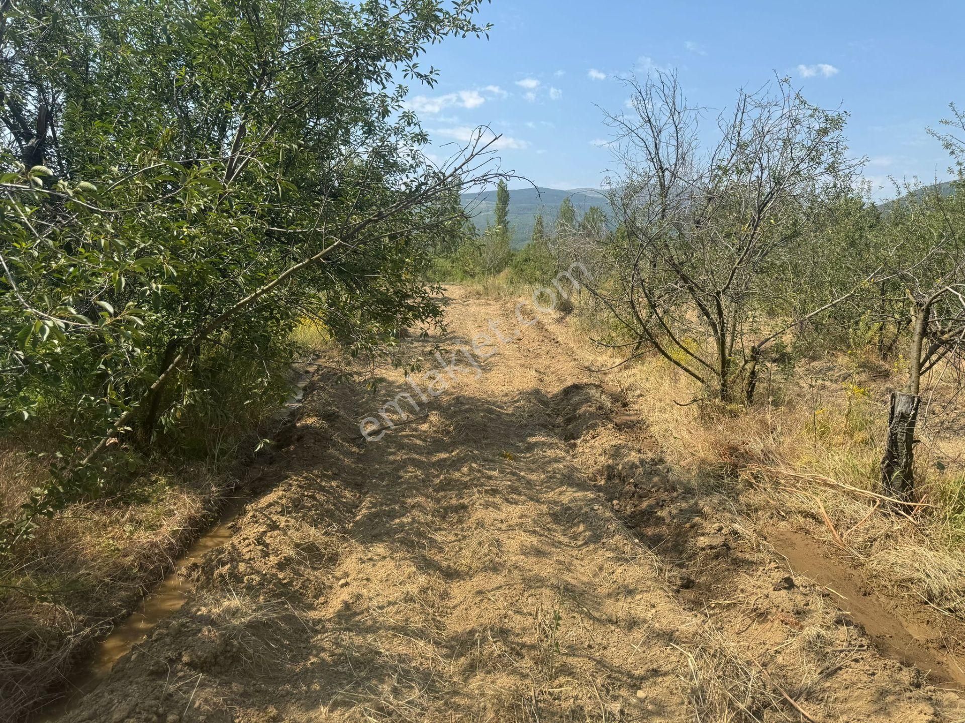 Engilli 1300 Mt Satılık Yatırımlık - Görsel 12