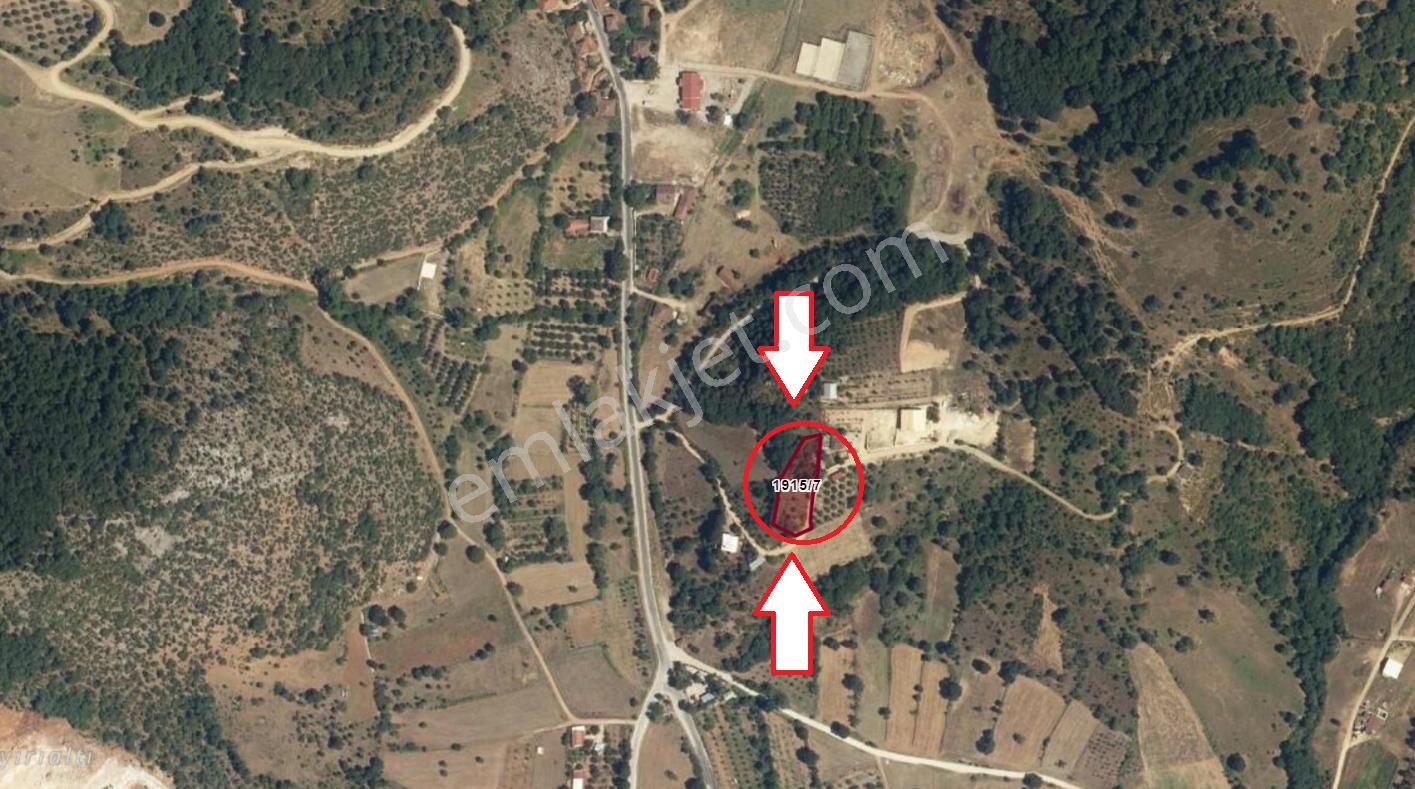 Bursa İznik Bayındır Satılık 1553 M2 Bahçe - Görsel 11