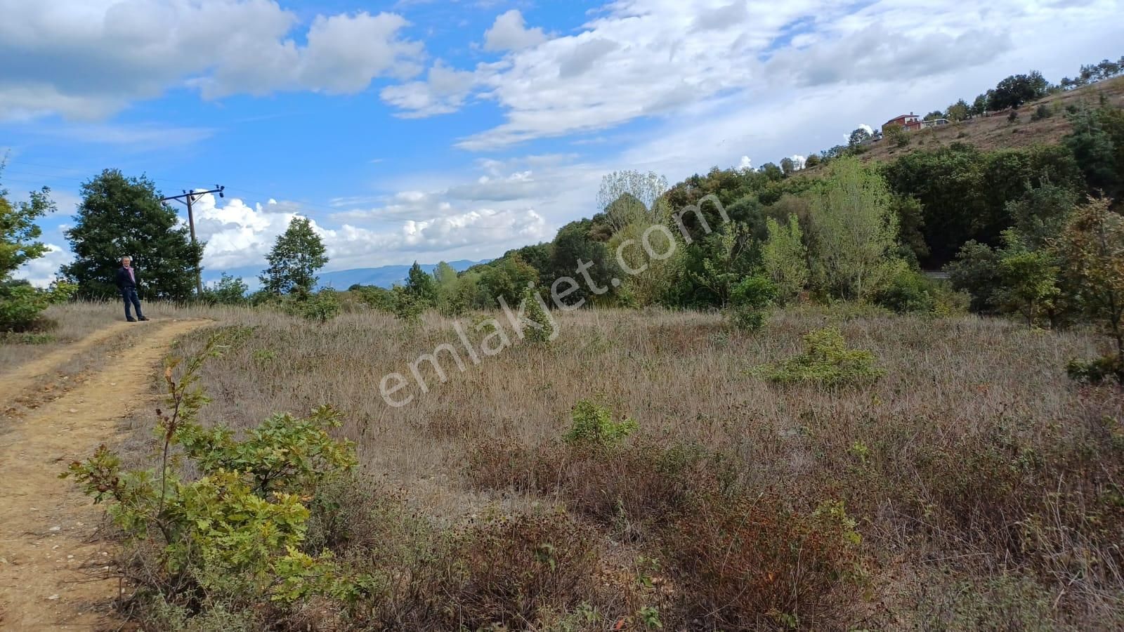 Bursa İznik Bayındır 2019 M2 Satılık Tarla - Görsel 6