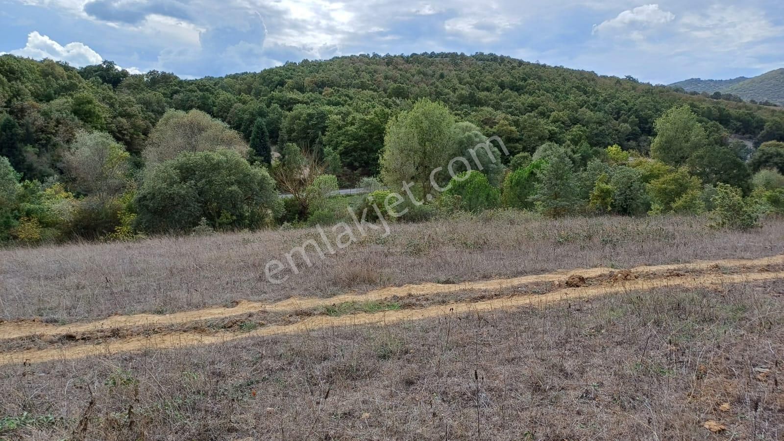 Bursa İznik Bayındır 2019 M2 Satılık Tarla - Görsel 4