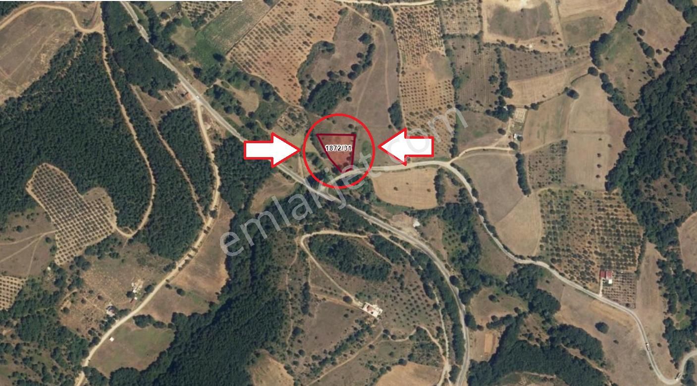 Bursa İznik Bayındır 2019 M2 Satılık Tarla - Görsel 11