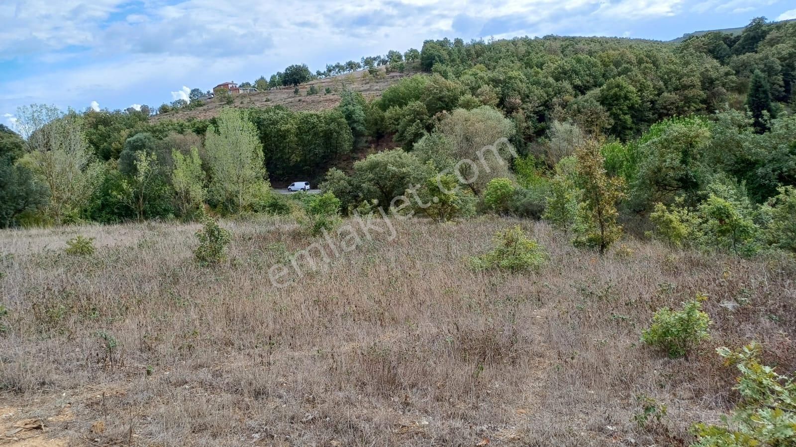 Bursa İznik Bayındır 2019 M2 Satılık Tarla - Görsel 7