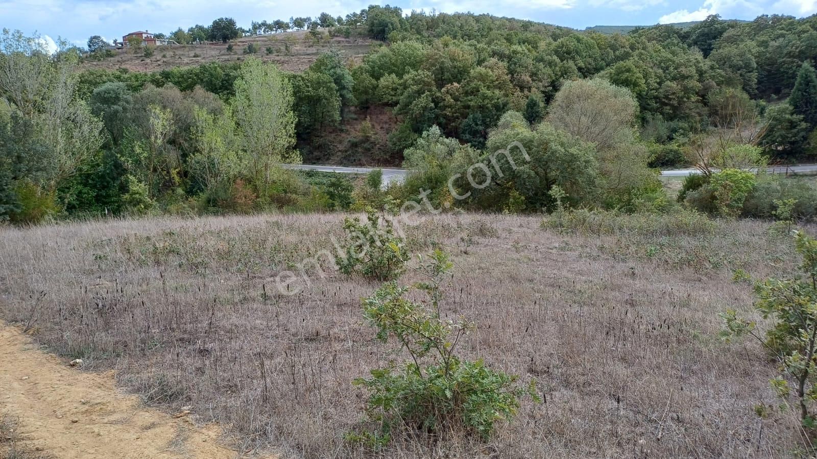 Bursa İznik Bayındır 2019 M2 Satılık Tarla - Görsel 8