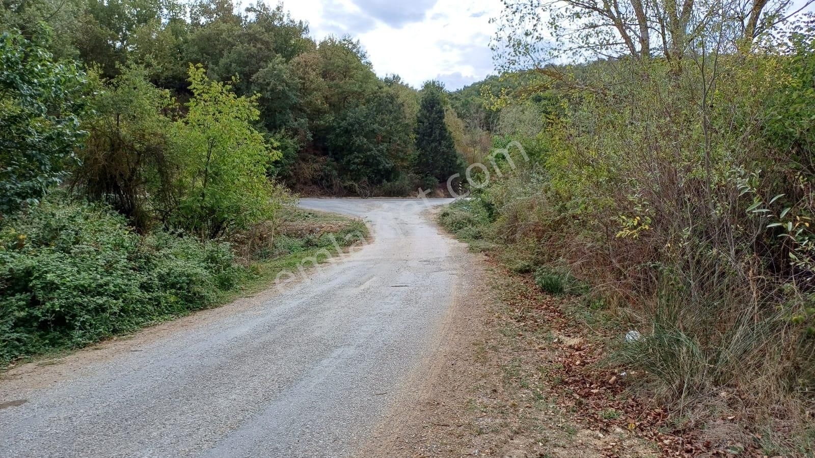 Bursa İznik Bayındır 2019 M2 Satılık Tarla - Görsel 10