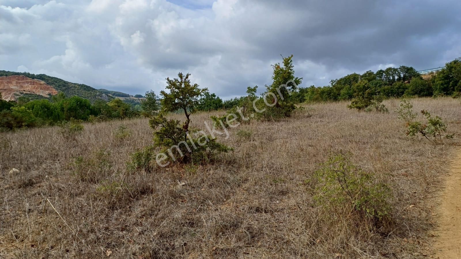 İznik Bayındır Satılık Tarla Bursa İznik Bayındır 2019 M2 Satılık Tarla