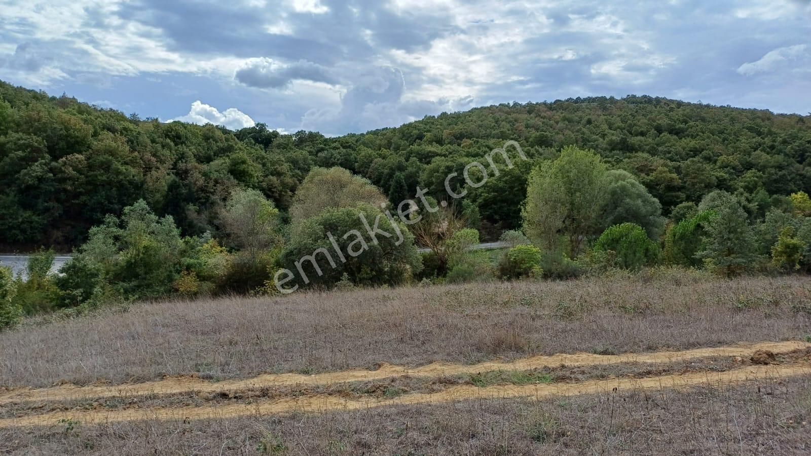 Bursa İznik Bayındır 2019 M2 Satılık Tarla - Görsel 5