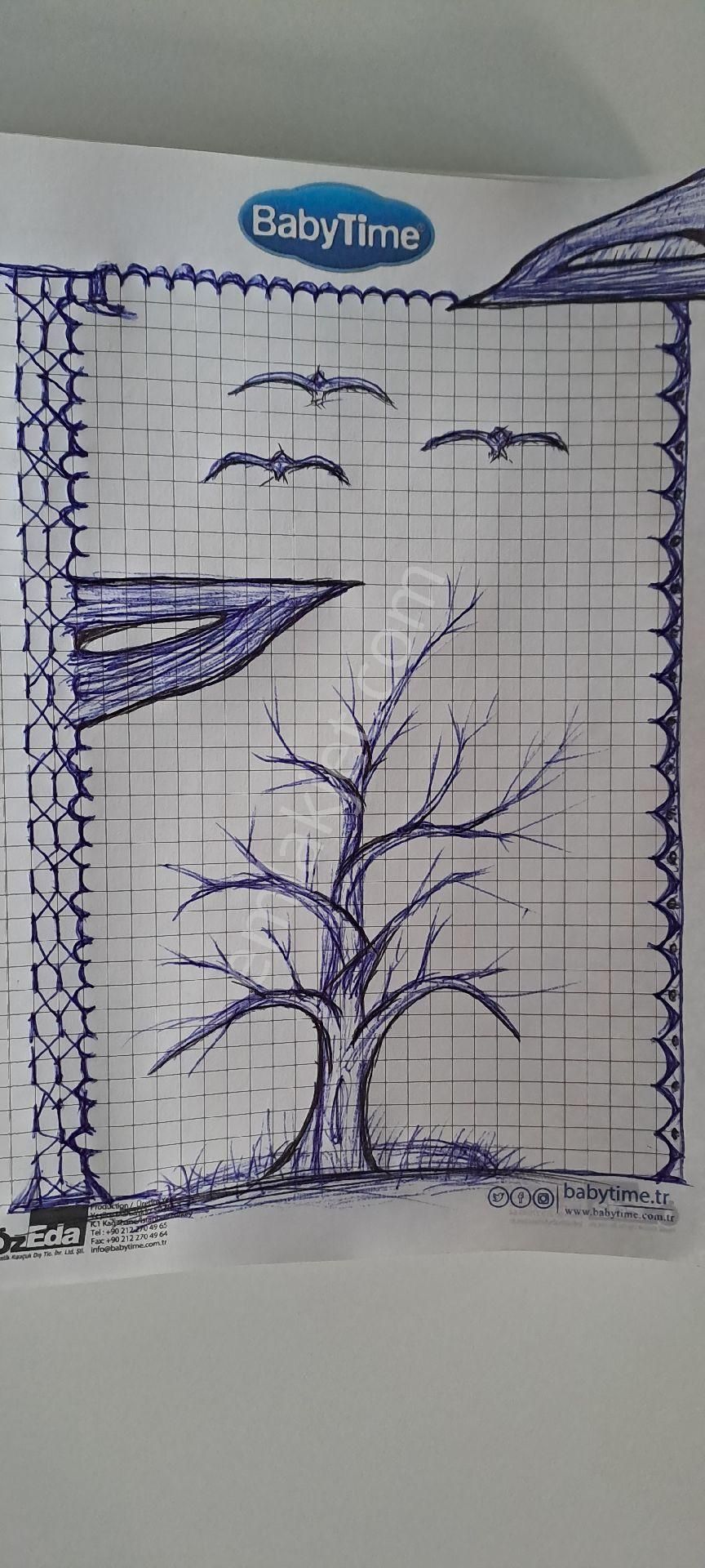 Takaza Açık Ayçiçeği Tarlası - Görsel 6