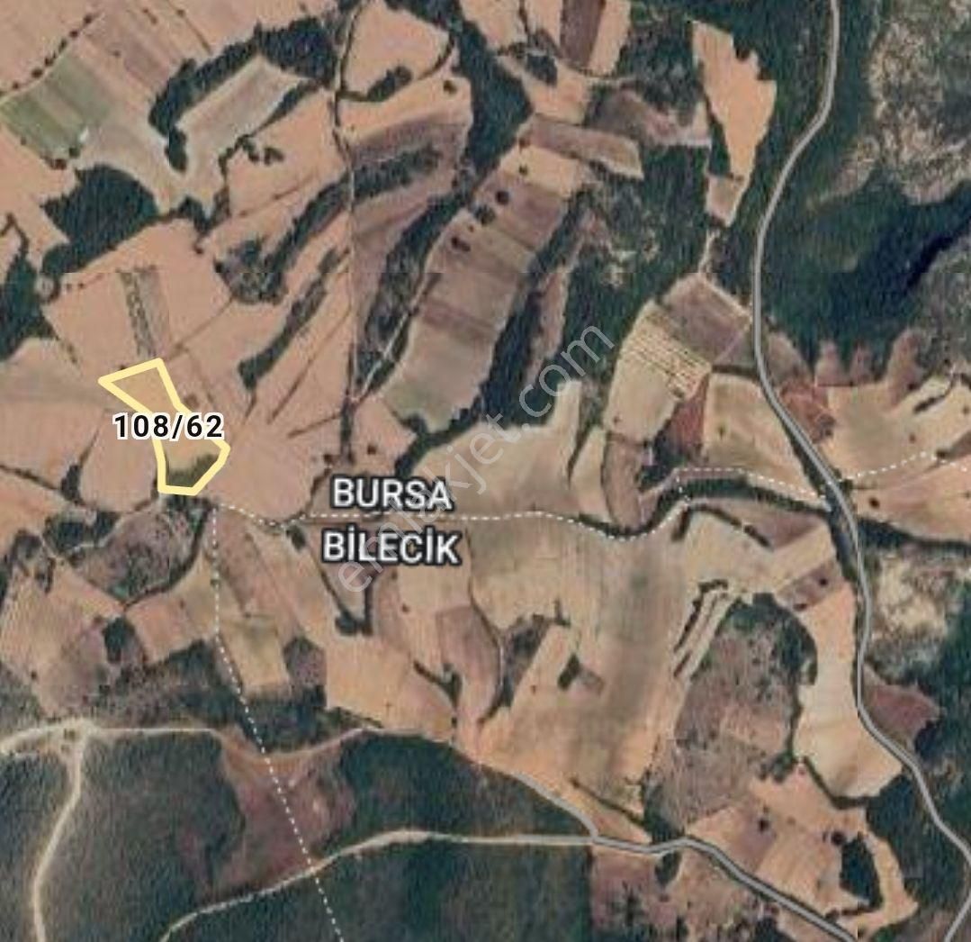 Takaza Açık Ayçiçeği Tarlası - Görsel 5