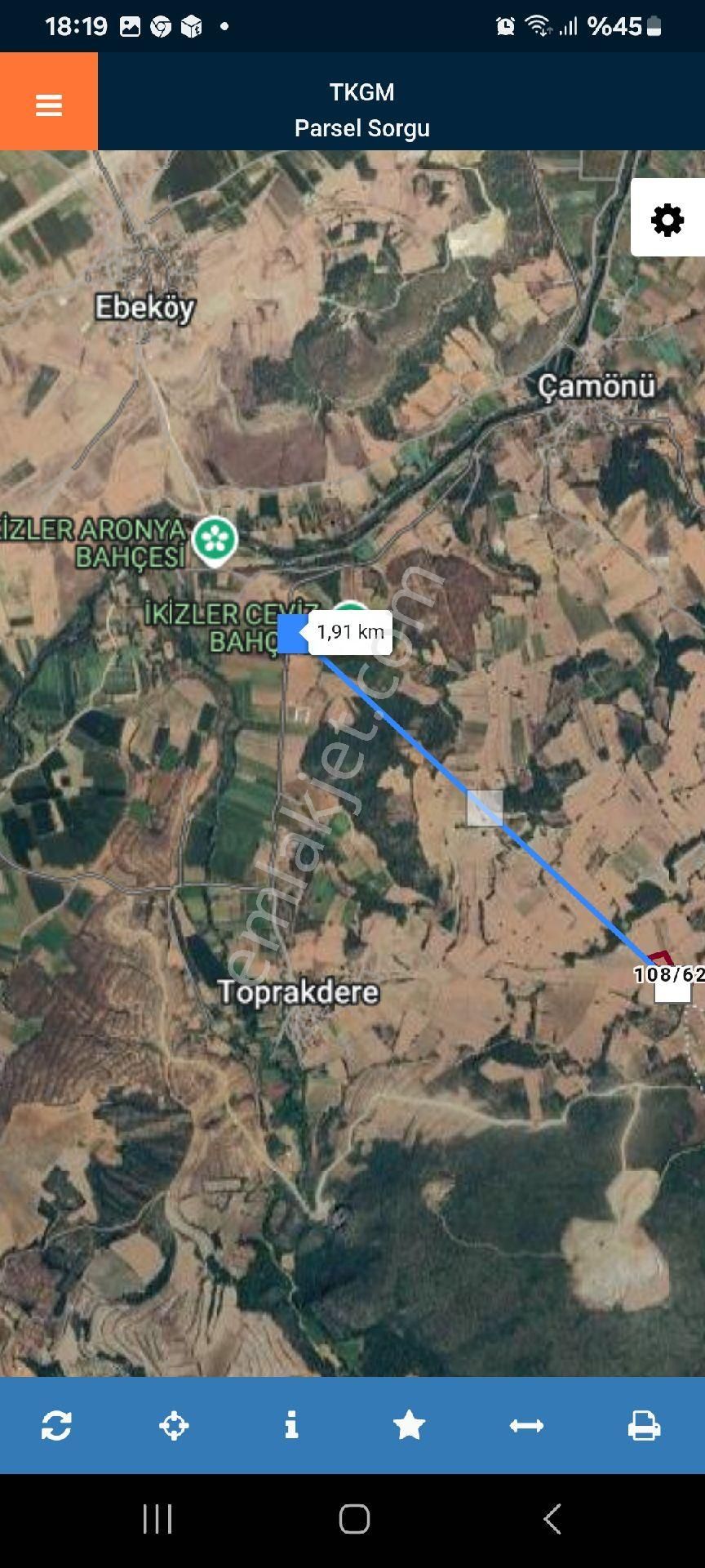 Takaza Açık Ayçiçeği Tarlası - Görsel 2