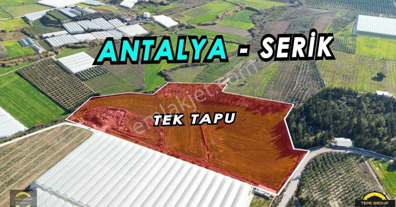 Serik Büğüş Satılık Tarla ANTALYA SERİK BÜĞÜŞTE 41.688 M2 TEK TAPU YATIRIMLIK TARLA