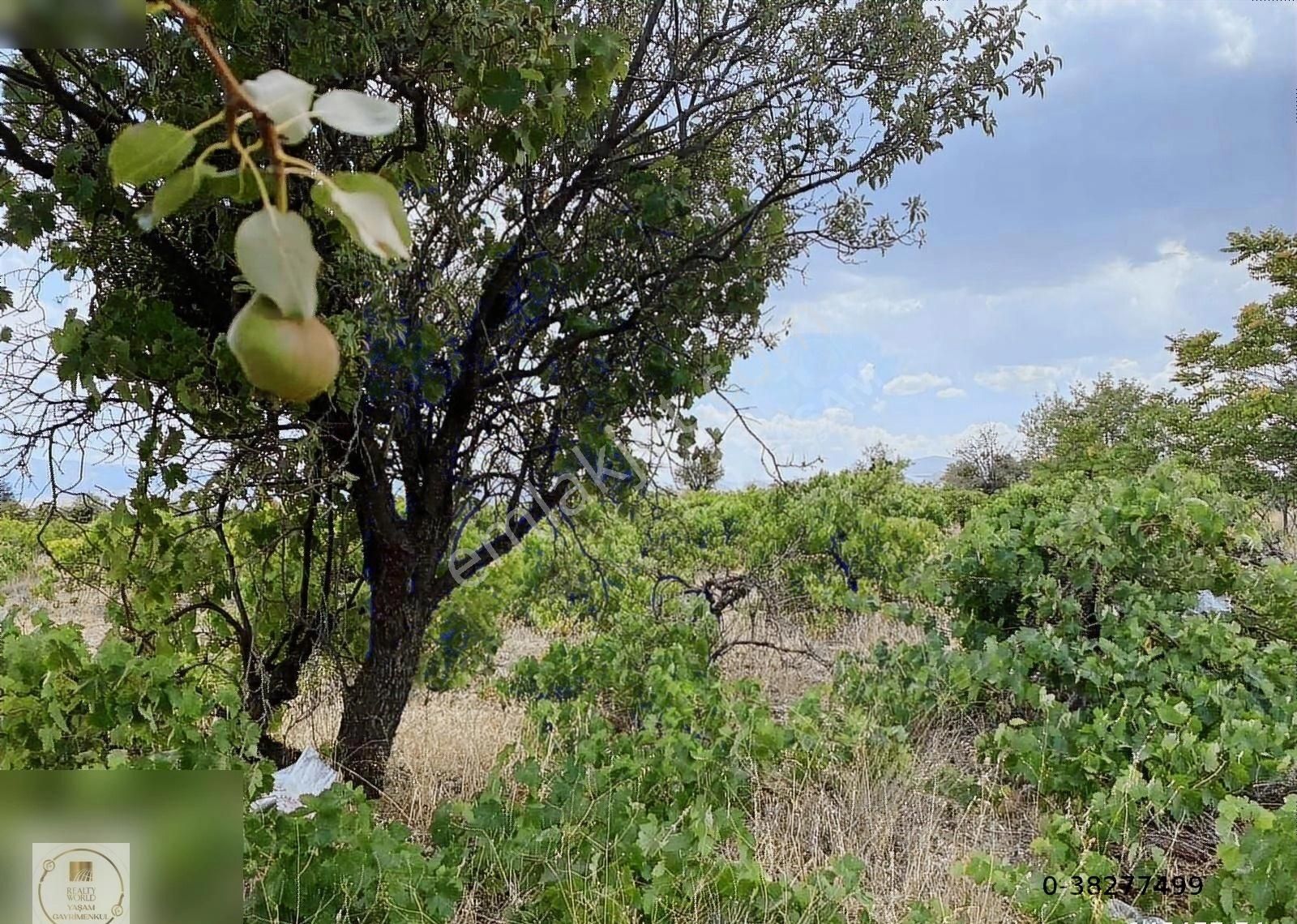 Elmalı Bozhüyük Satılık Tarla ANTALYA ELMALI KORKUTELİ ANAYOL DA TEK TAPULU SATILIK TARLA