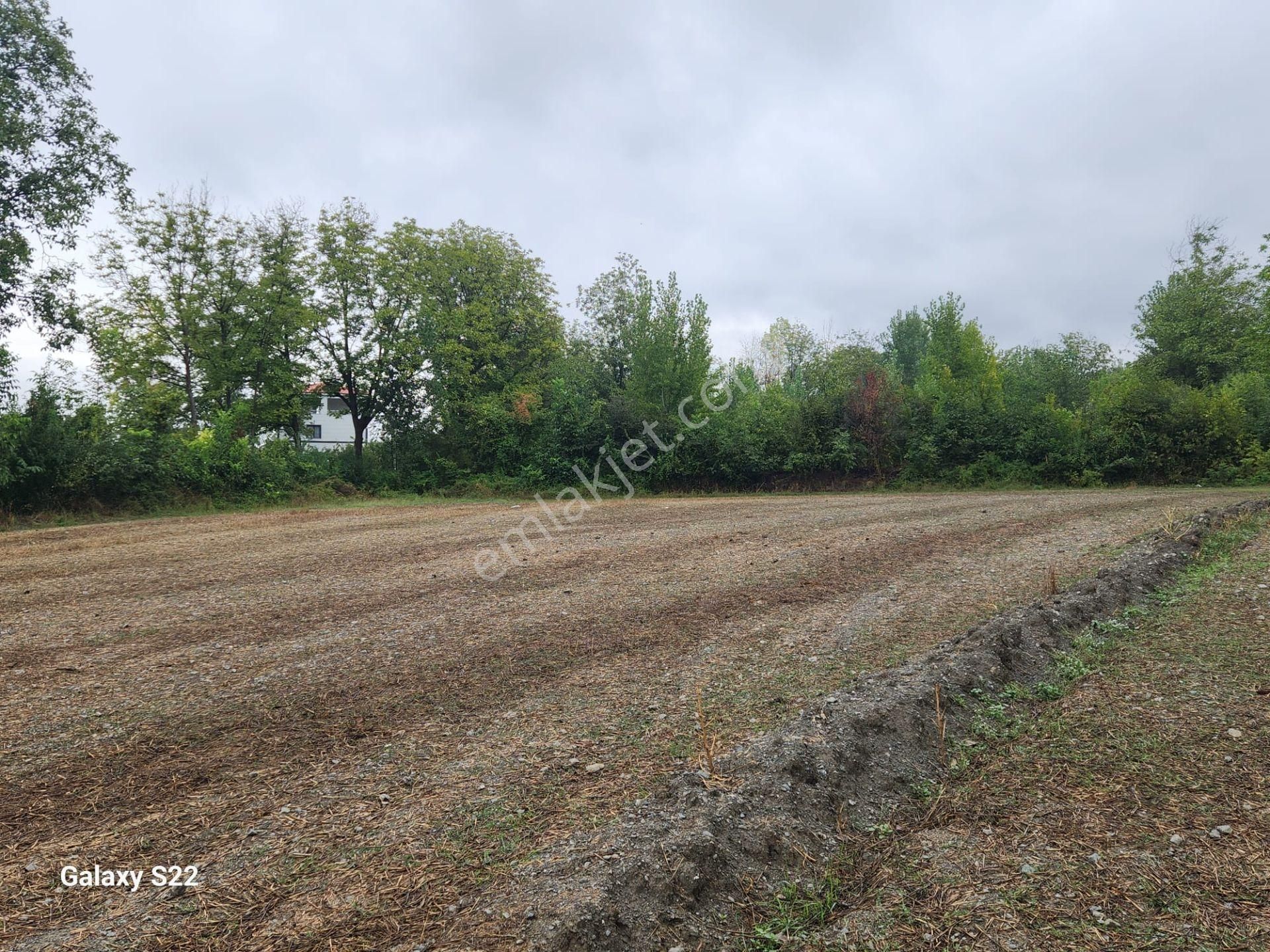 Pazar Seyitali Satılık Konut İmarlı  Yankıdan Tokat Pazar Ballıca Dürdane Yolunda Satılık 2600m2 Arsa