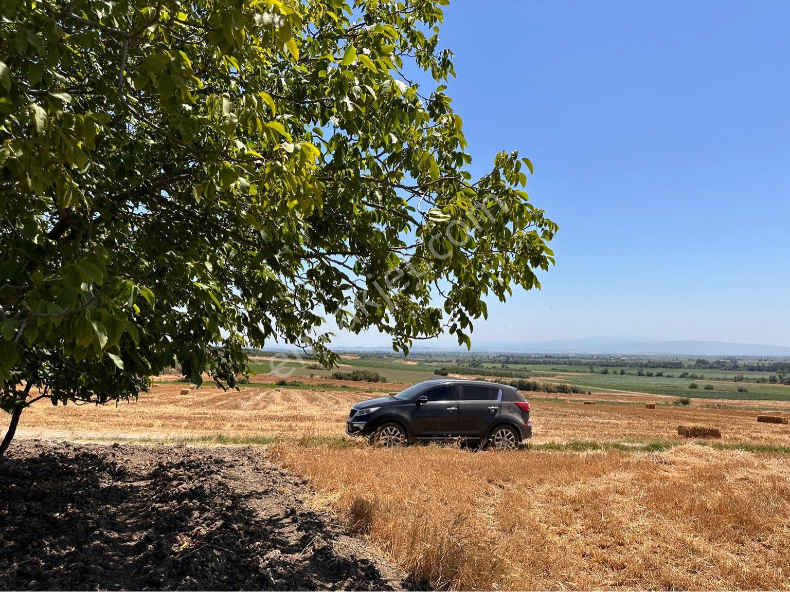 Karacabey Sultaniye Satılık Tarla BÜYÜK FIRSAT