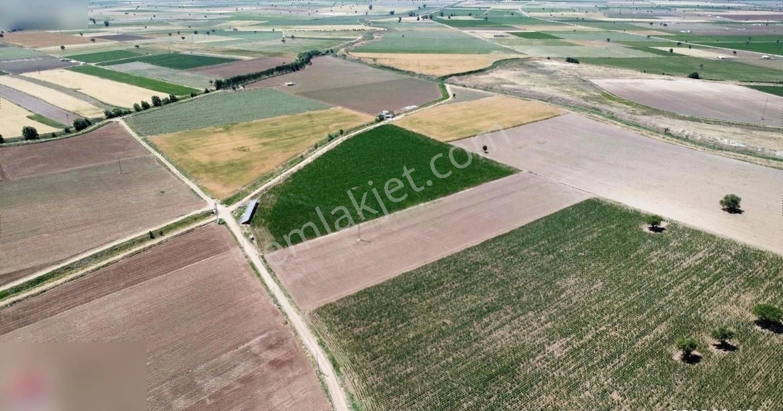 Tavas Medet Satılık Tarla ERA FLY'DAN TAVAS MEDET'TE ANAYOLA YAKIN SATILIK TARLA