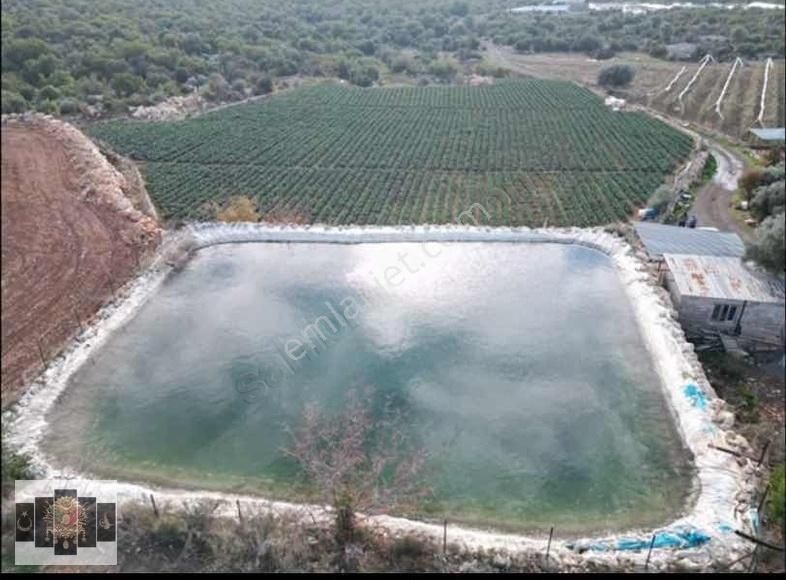 Mersin Erdemli Karahmrtli Satılık Tarla 5 Dönüm - Görsel 4