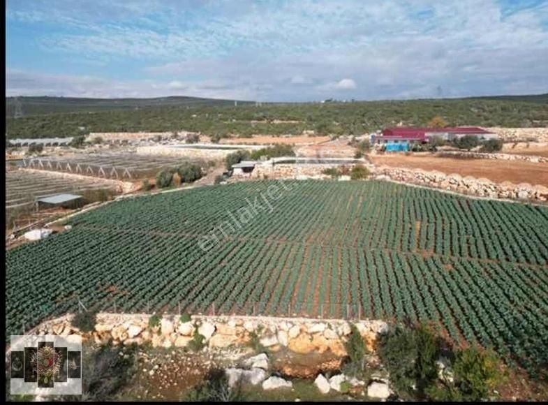 Mersin Erdemli Karahmrtli Satılık Tarla 5 Dönüm - Görsel 6