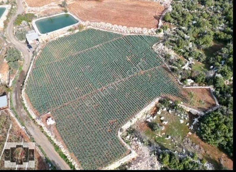 Mersin Erdemli Karahmrtli Satılık Tarla 5 Dönüm - Görsel 8