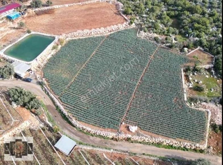 Mersin Erdemli Karahmrtli Satılık Tarla 5 Dönüm - Görsel 5