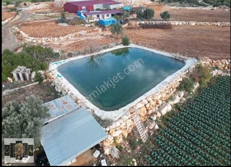 Mersin Erdemli Karahmrtli Satılık Tarla 5 Dönüm - Görsel 3