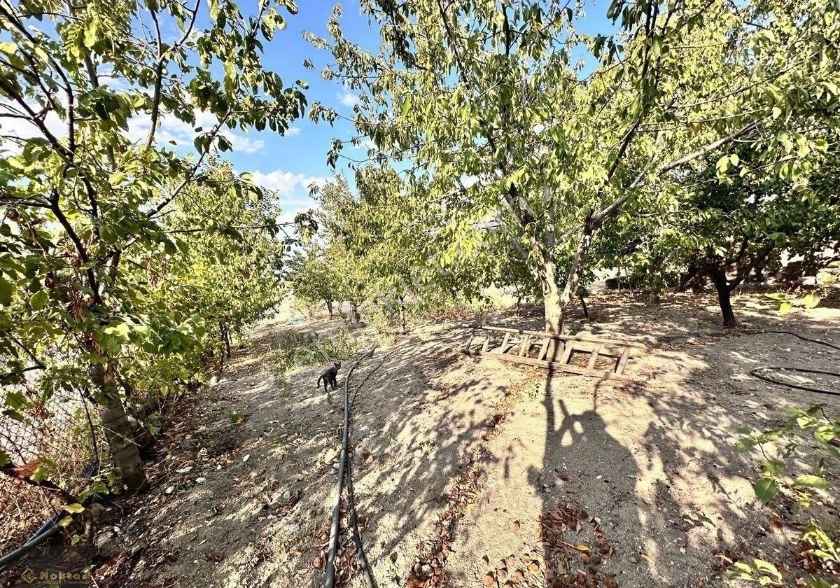 Ayaş Oltanda Konut İmarlı Üzerinde 2+1 Yapı Meyva Ağaçları Olan Muhteşem Bahçe - Görsel 35