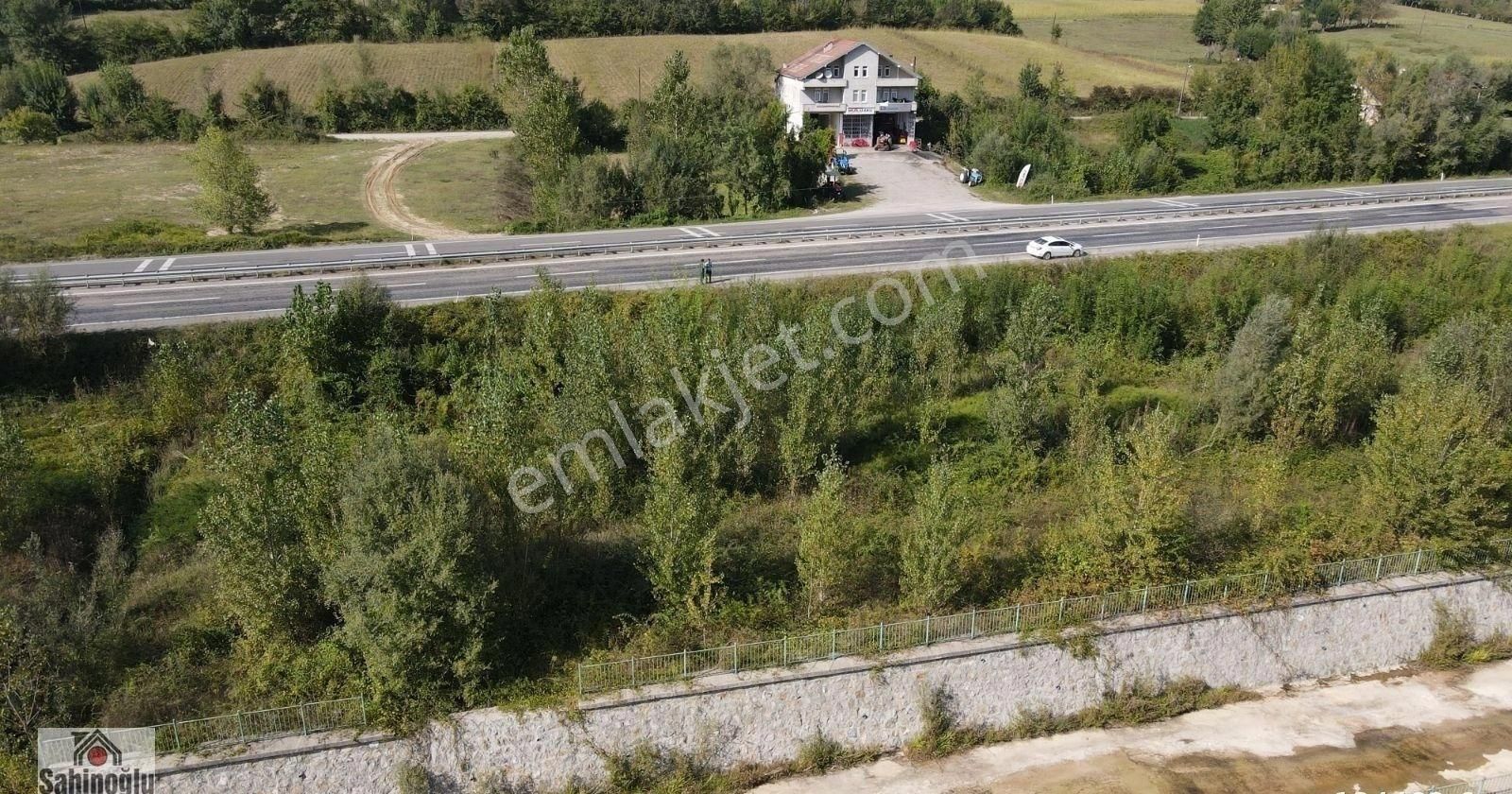 Bartın Merkez Kutlubeyyazıcılar Köyü (Yeni) Satılık Tarla ŞAHİNOĞLU EMLAKDAN KUTLUBEYDE SATILIK ARAZİ