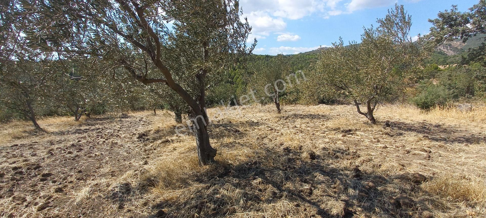 Satılık Müstakil Tapu - Görsel 7