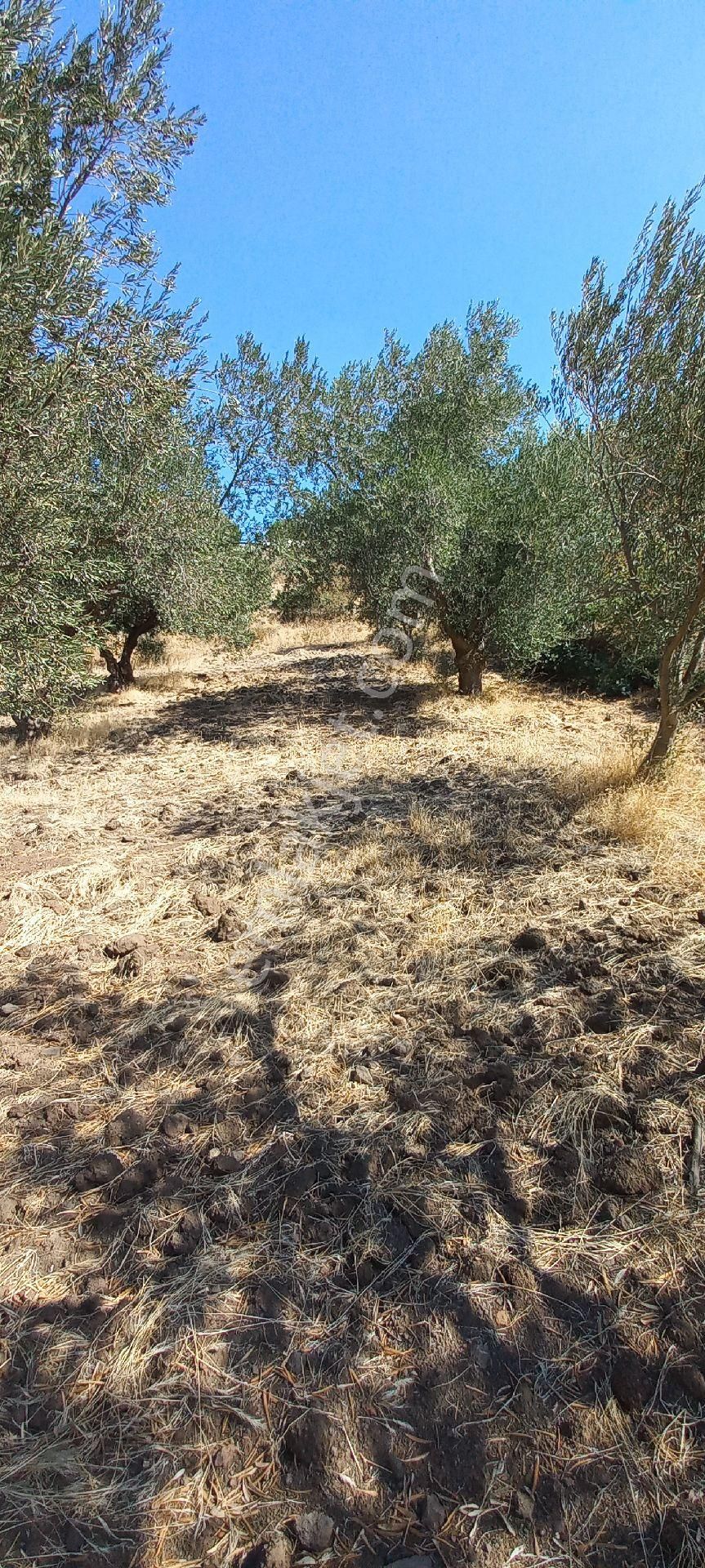 Satılık Müstakil Tapu - Görsel 18