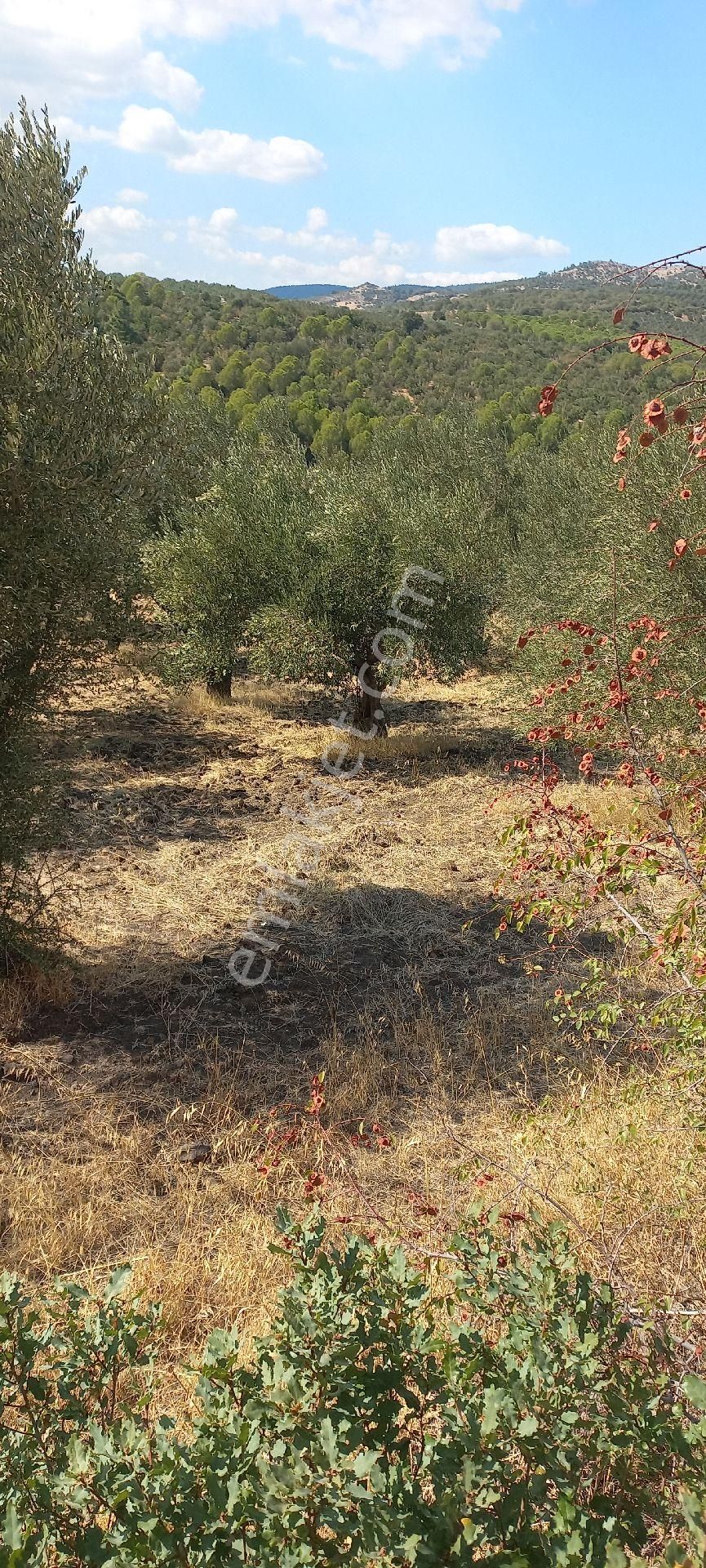 Satılık Müstakil Tapu - Görsel 6