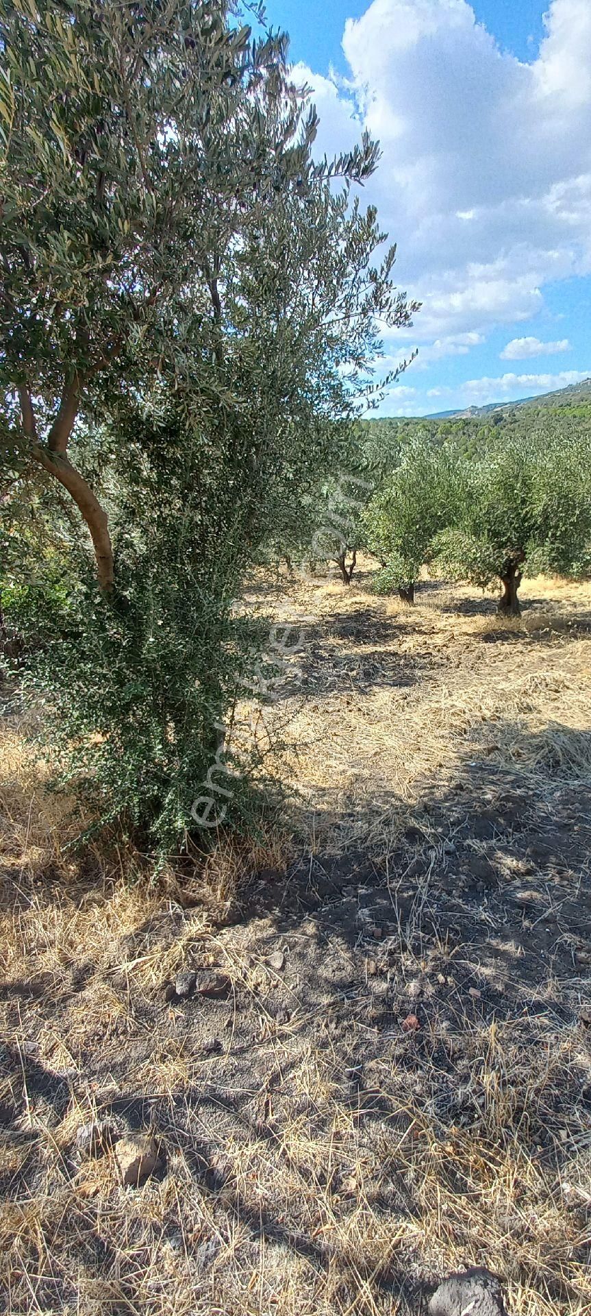 Satılık Müstakil Tapu - Görsel 12